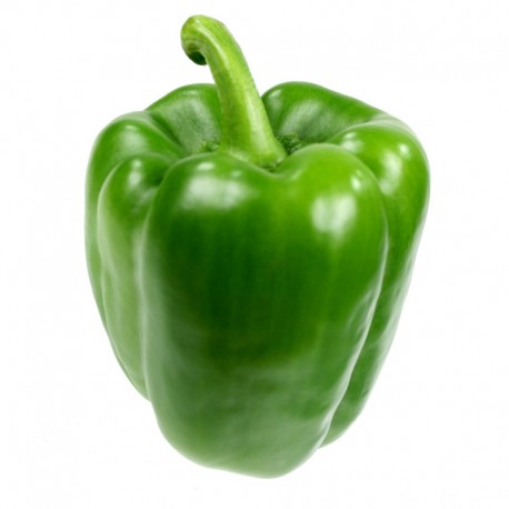 BELL PEPPER GREEN
